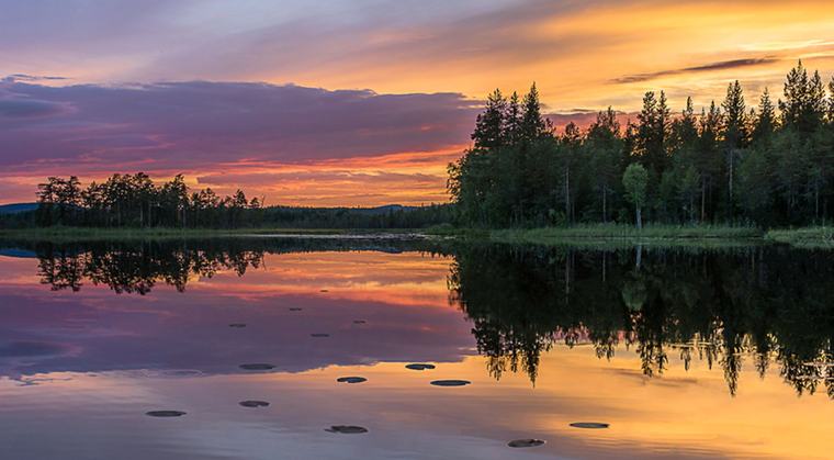 Solnedgång över en spegelblank sjö, med granskog på andra sidan och orange himmel som speglas i vattnet.
